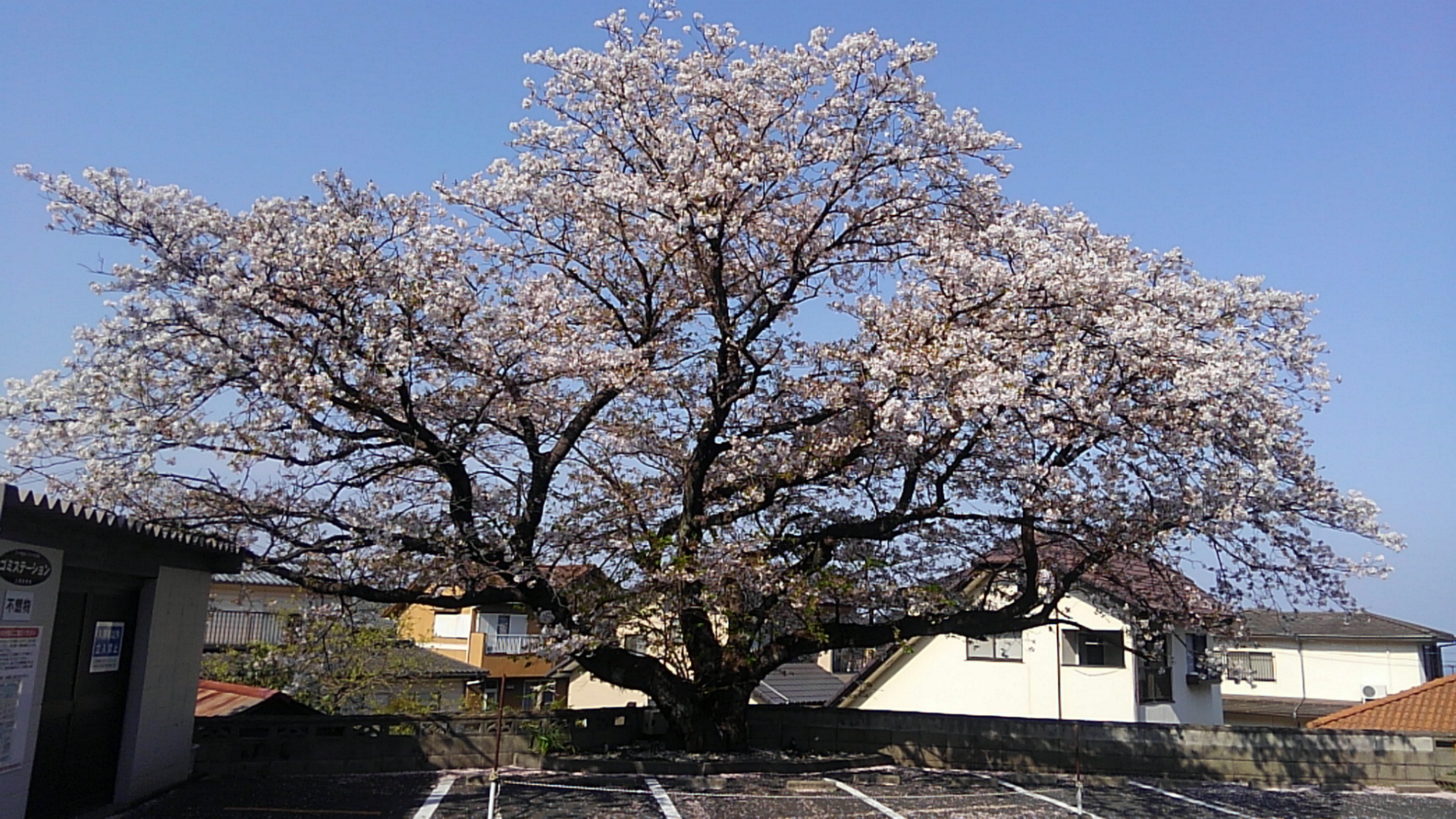 <重要> 弊社物件 ミラコスタ宮島は対象外です。大和ハウス工業株式会社様「建築基準に関する不適合等について」