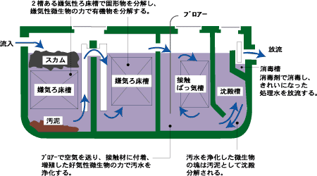 更新・浄化槽清掃終了のお知らせ